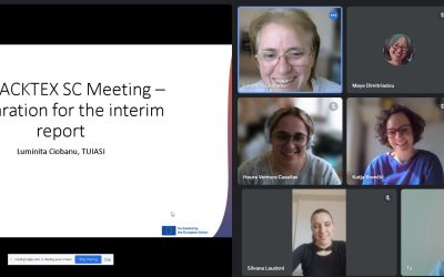 Hacktex goes on: steering committee meeting!